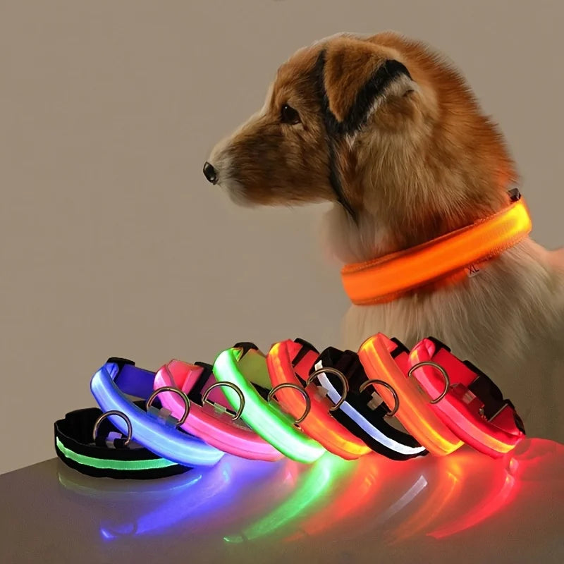 Glow Dog Safety Leash