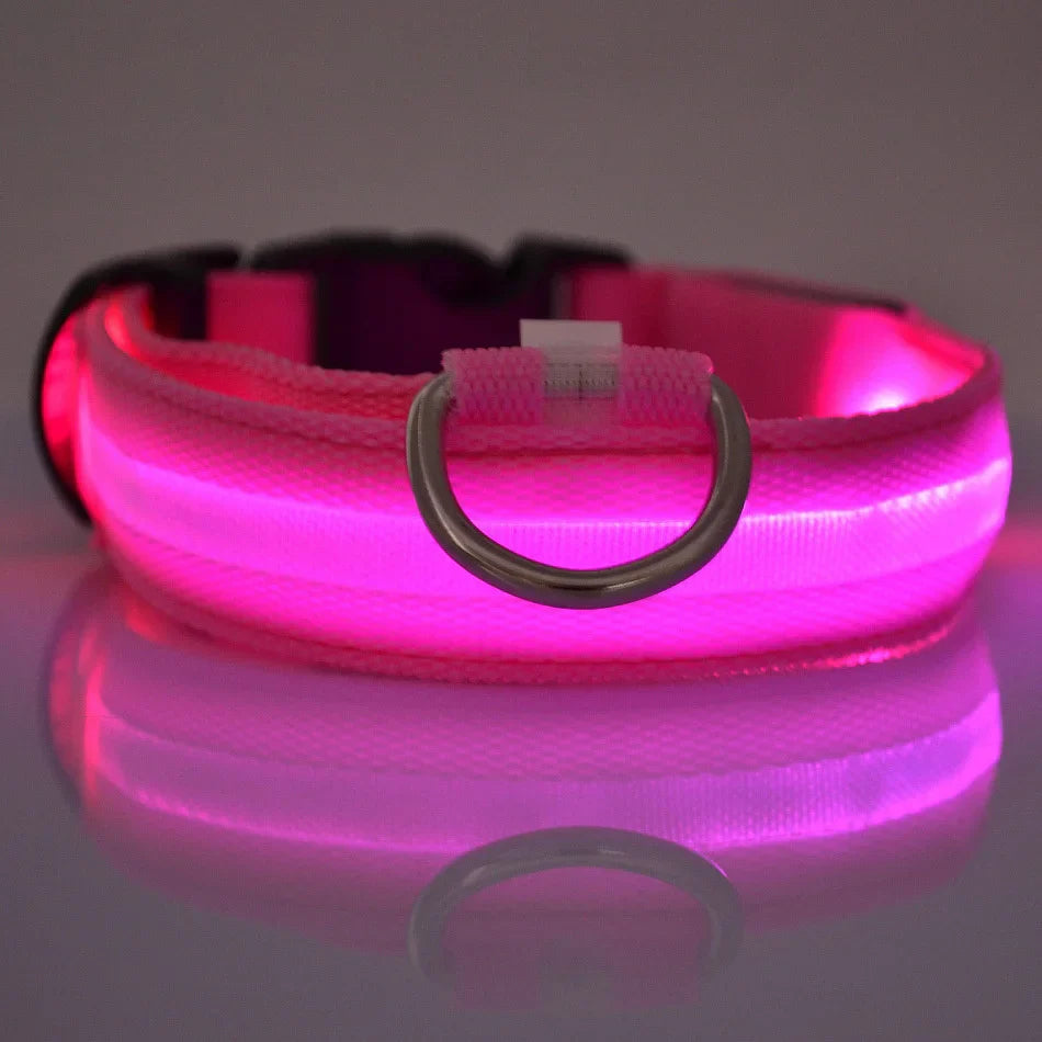 Glow Dog Safety Leash