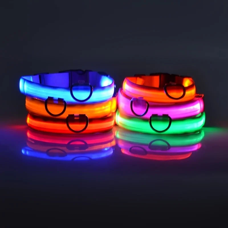 Glow Dog Safety Leash